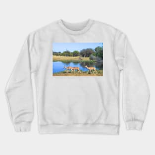 Impalas with Bush Buck in Botswana, Africa Crewneck Sweatshirt